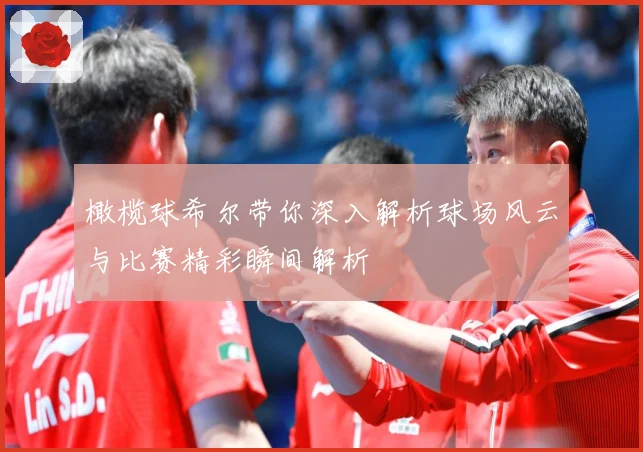 橄榄球希尔带你深入解析球场风云与比赛精彩瞬间解析