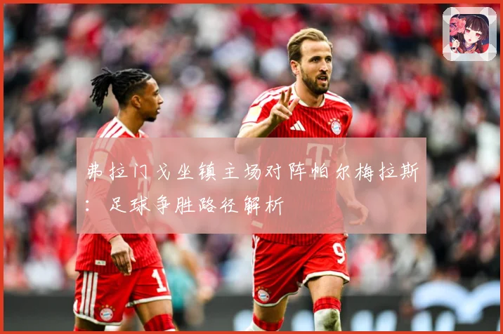 弗拉门戈坐镇主场对阵帕尔梅拉斯：足球争胜路径解析